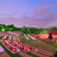 Palace Wedding in Udaipur